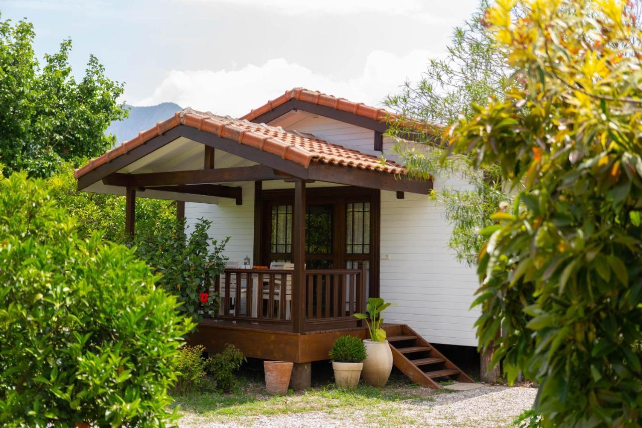 Kimera - Akdeniz Bahcesi Apart Hotel Cirali Exterior photo