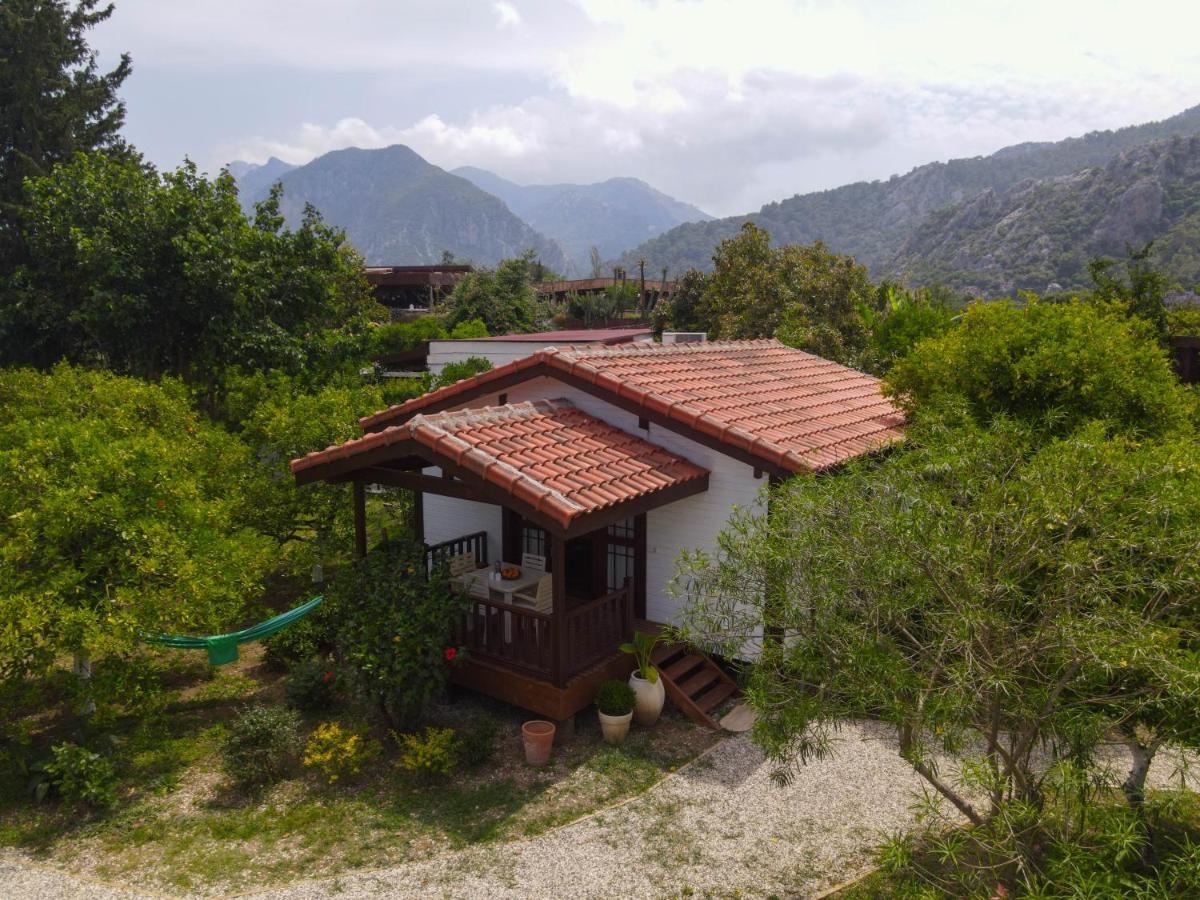 Kimera - Akdeniz Bahcesi Apart Hotel Cirali Exterior photo