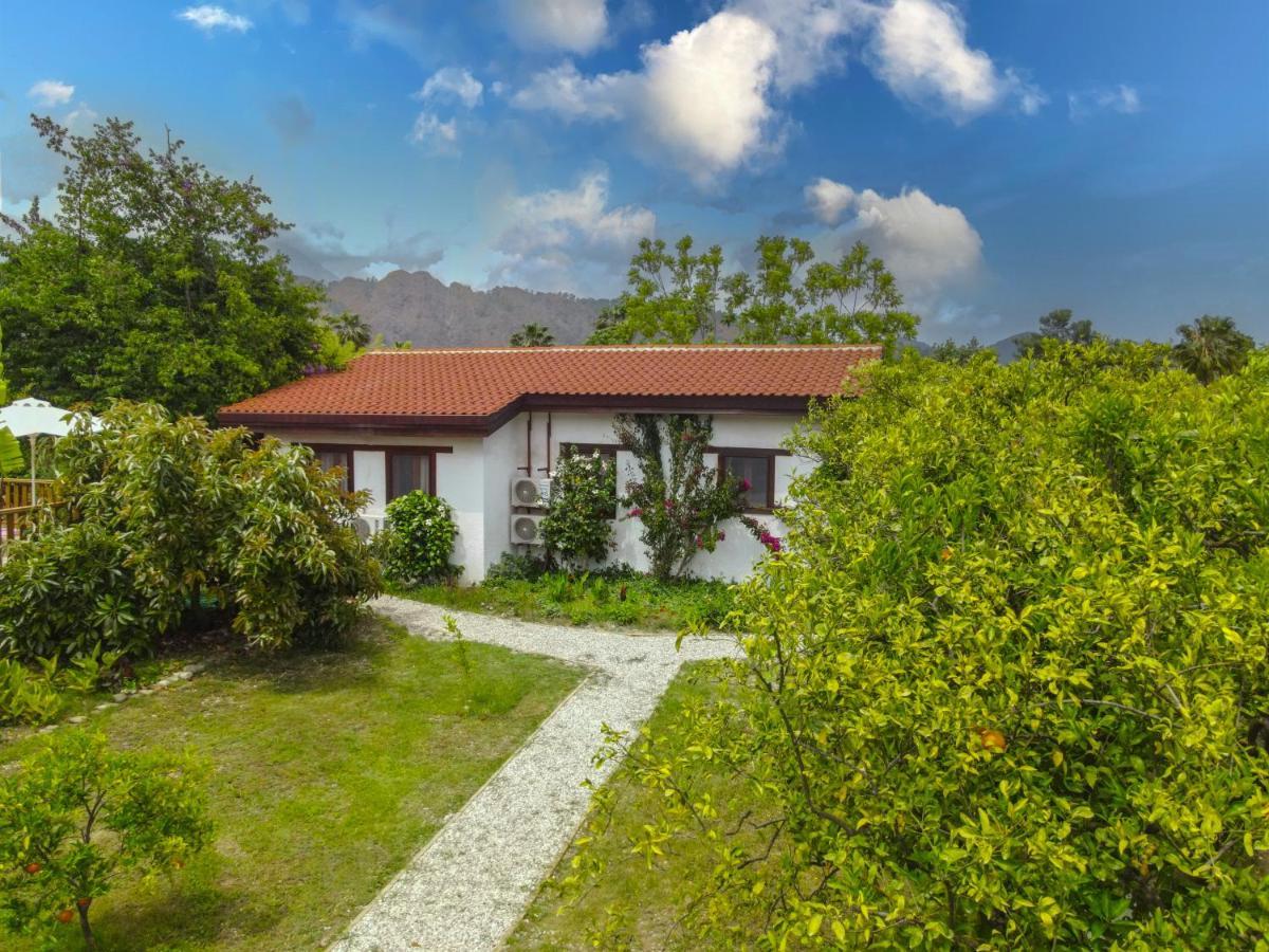 Kimera - Akdeniz Bahcesi Apart Hotel Cirali Exterior photo